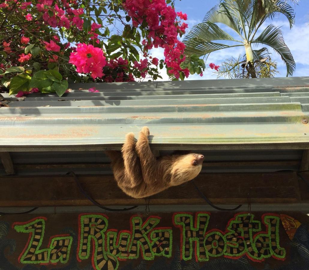 La Ruka Hostel Puerto Viejo de Talamanca 外观 照片