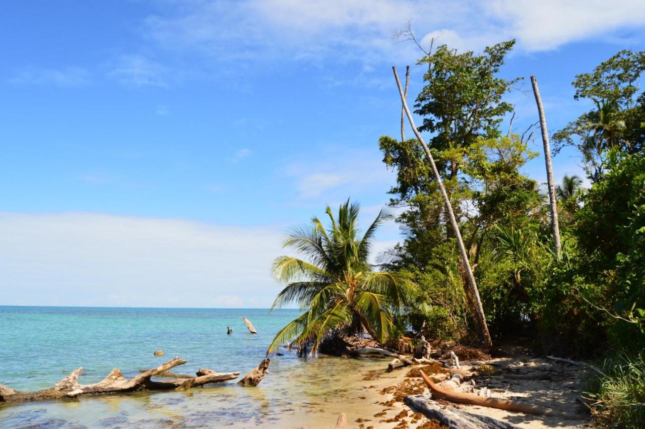La Ruka Hostel Puerto Viejo de Talamanca 外观 照片