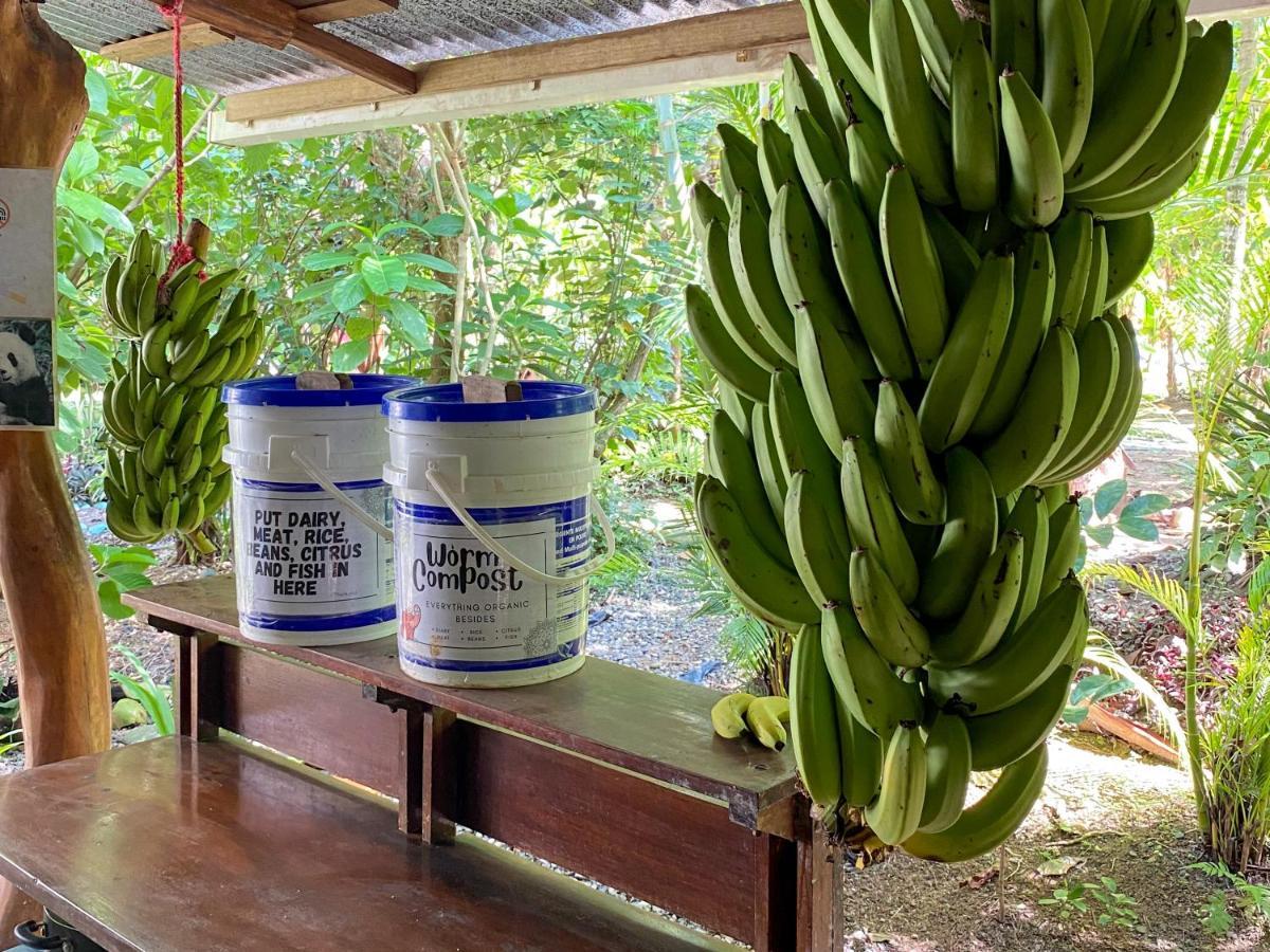 La Ruka Hostel Puerto Viejo de Talamanca 外观 照片