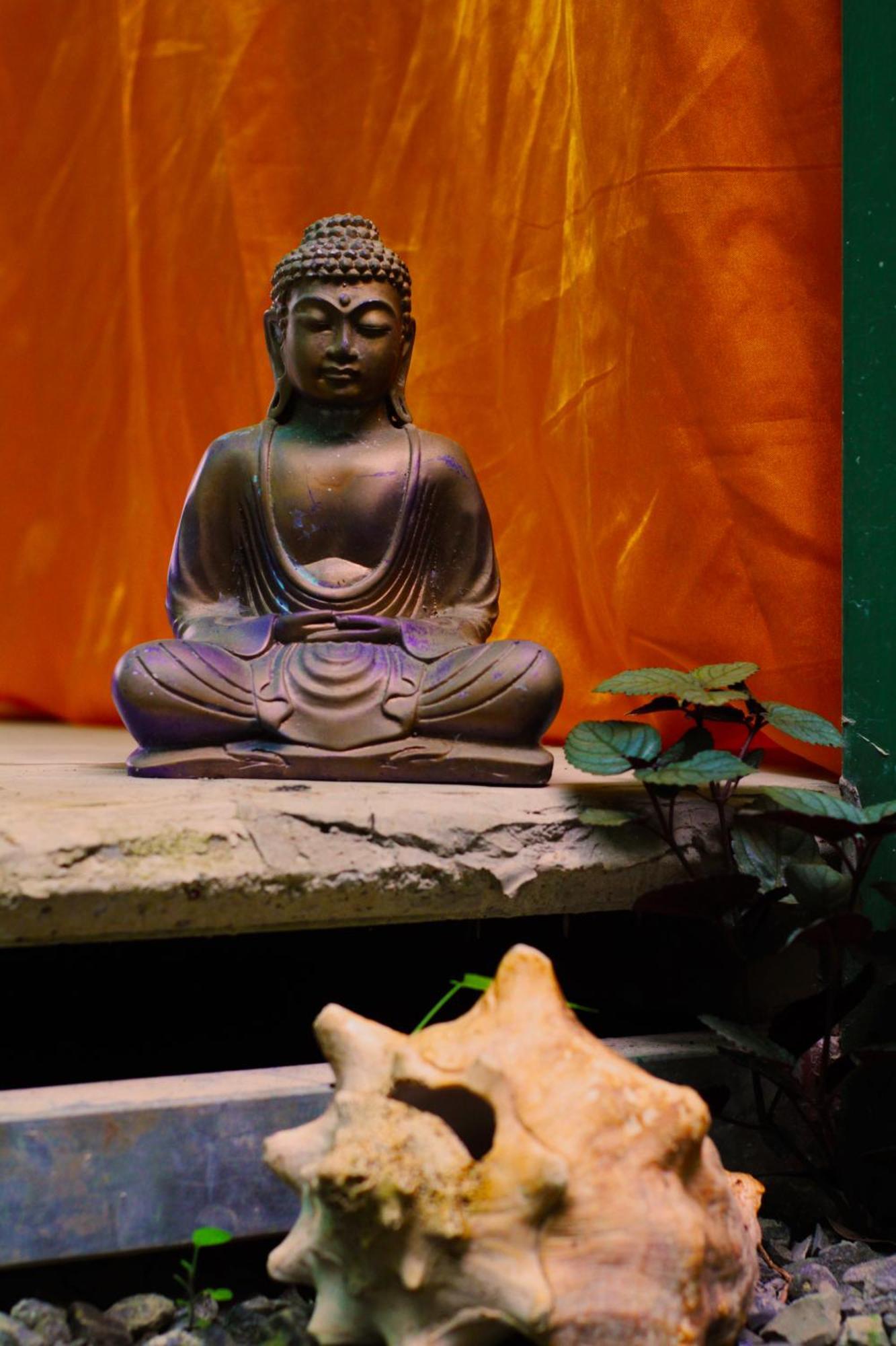 La Ruka Hostel Puerto Viejo de Talamanca 外观 照片