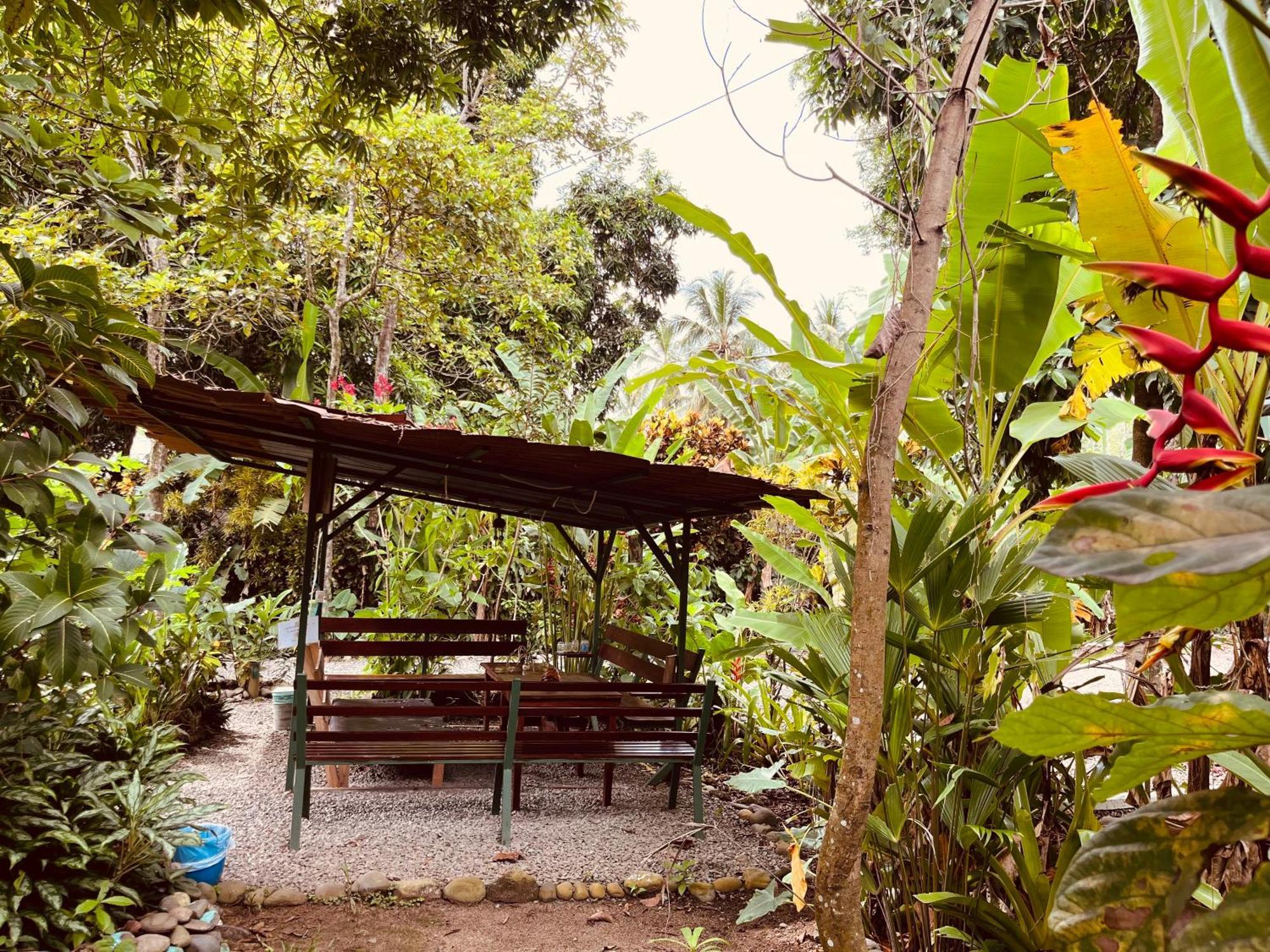 La Ruka Hostel Puerto Viejo de Talamanca 外观 照片