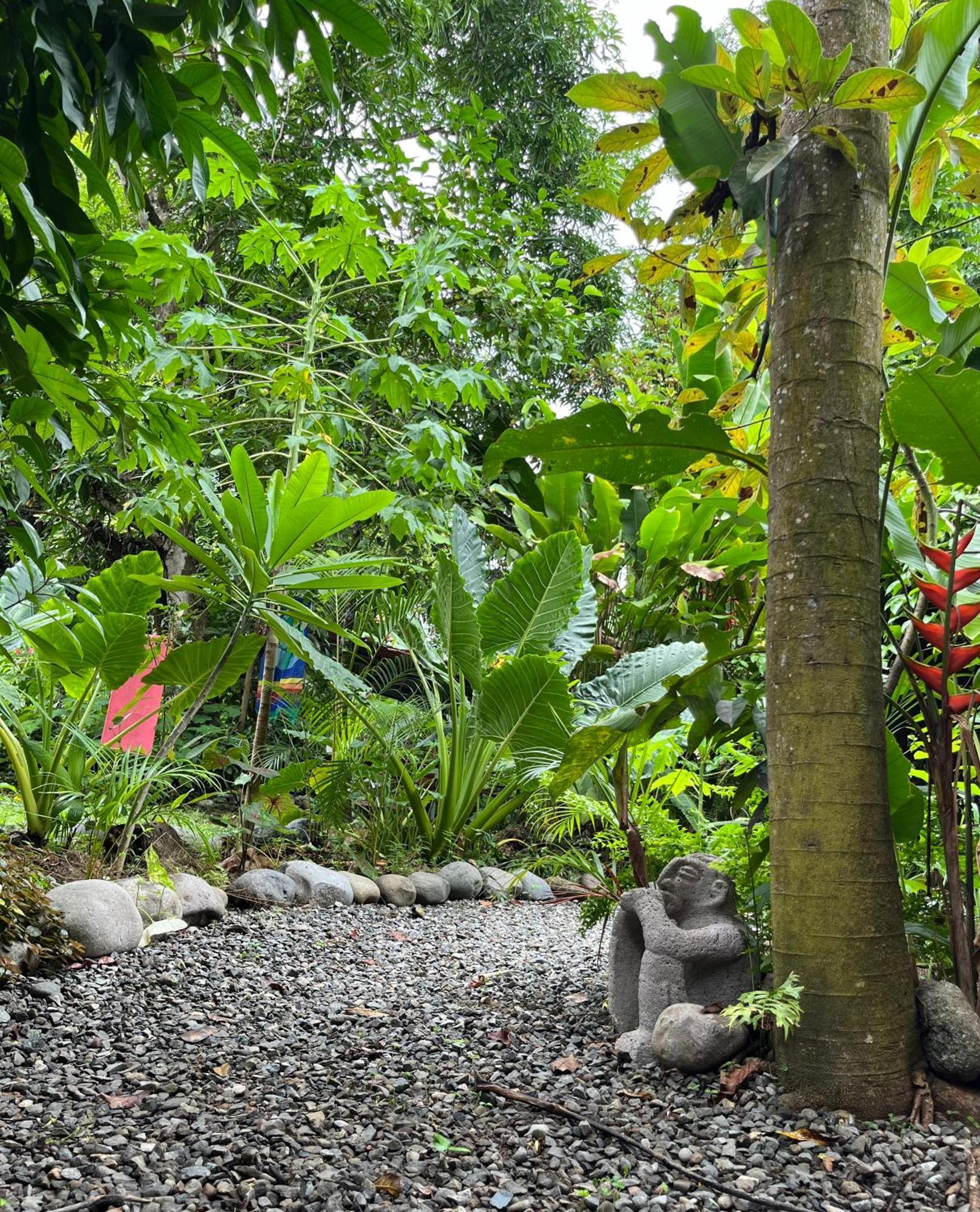 La Ruka Hostel Puerto Viejo de Talamanca 外观 照片
