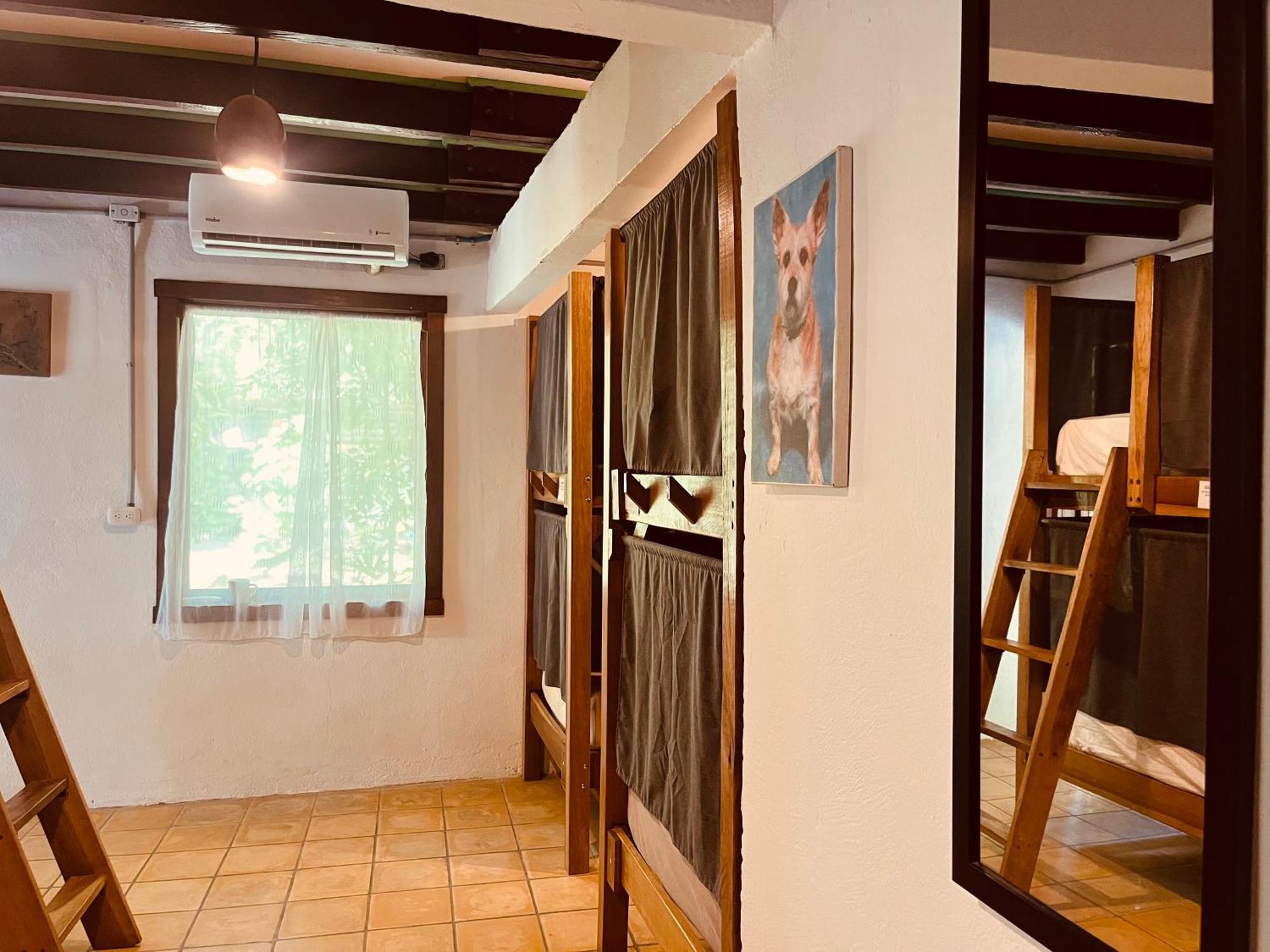 La Ruka Hostel Puerto Viejo de Talamanca 外观 照片