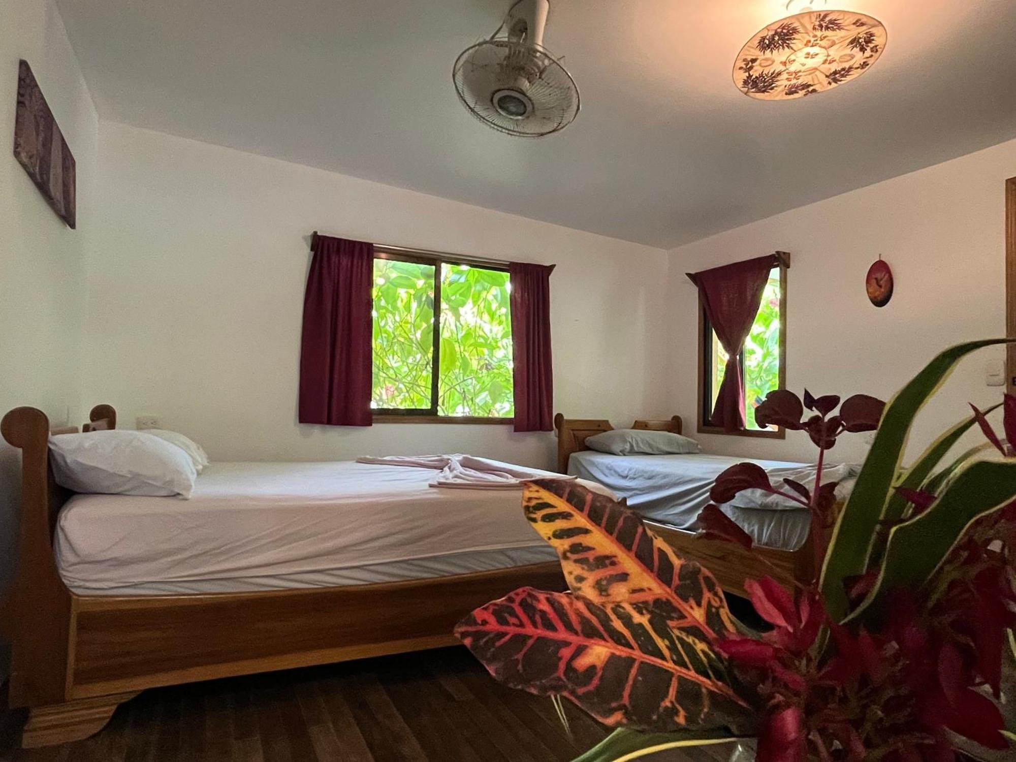 La Ruka Hostel Puerto Viejo de Talamanca 外观 照片