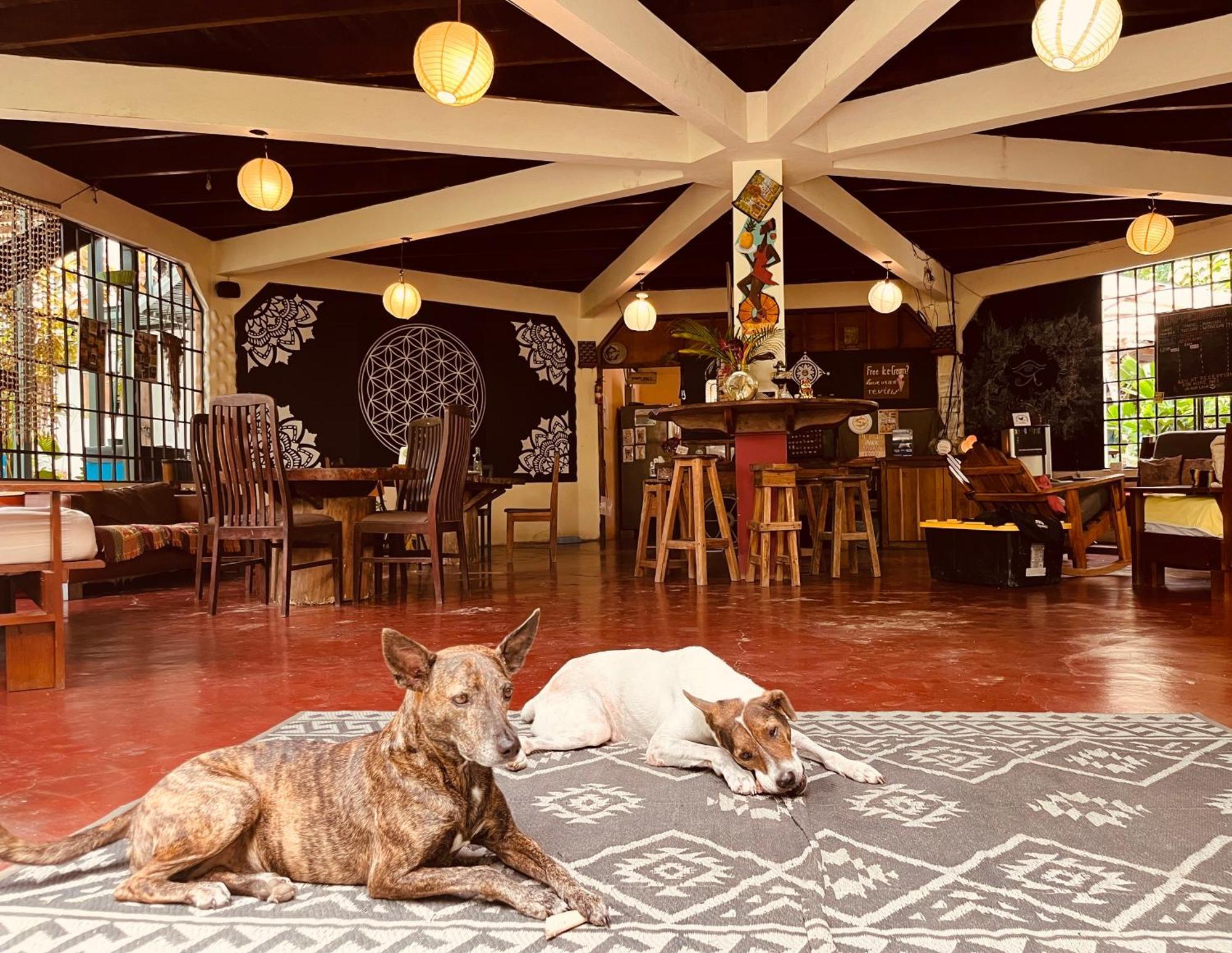 La Ruka Hostel Puerto Viejo de Talamanca 外观 照片