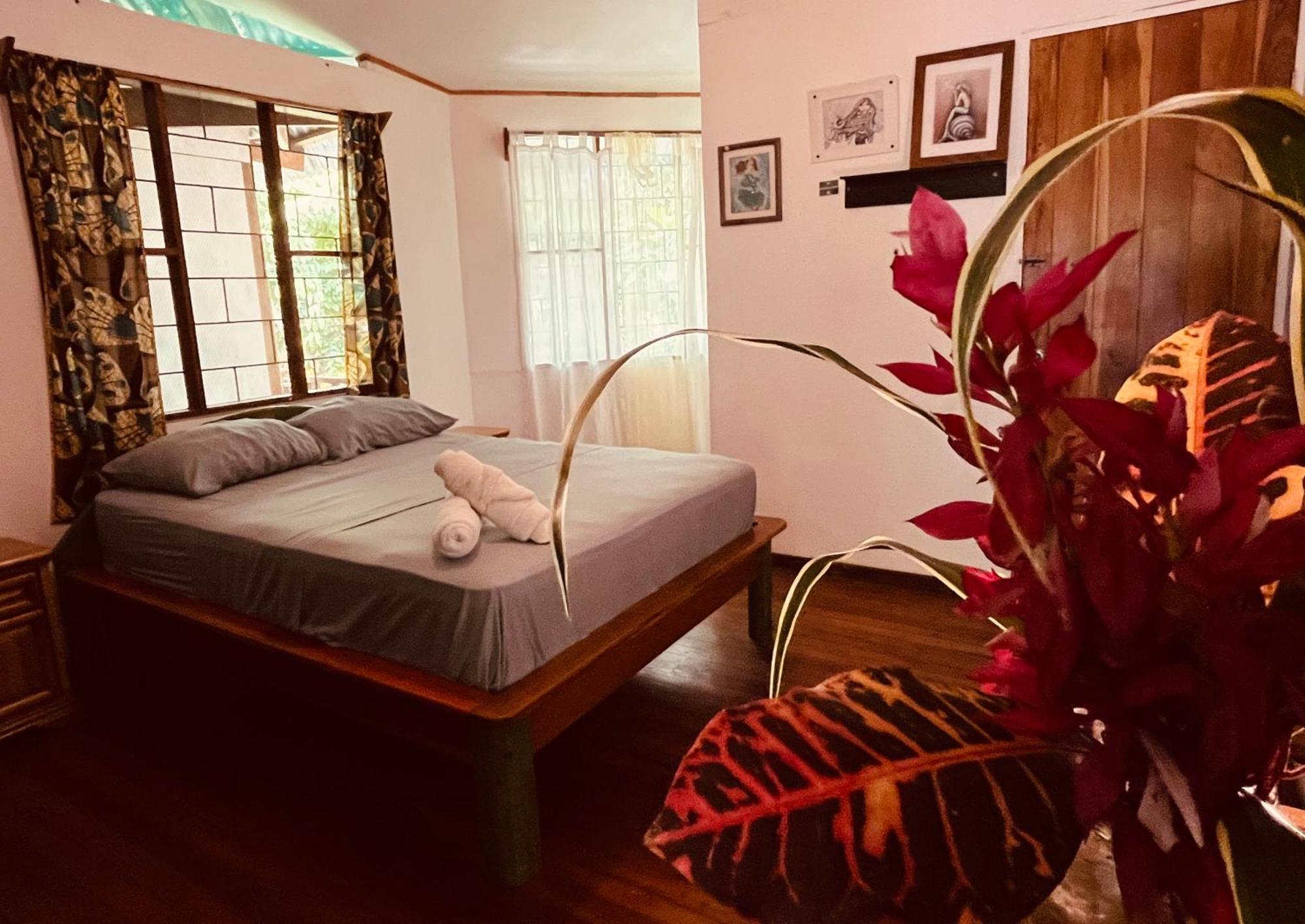 La Ruka Hostel Puerto Viejo de Talamanca 外观 照片
