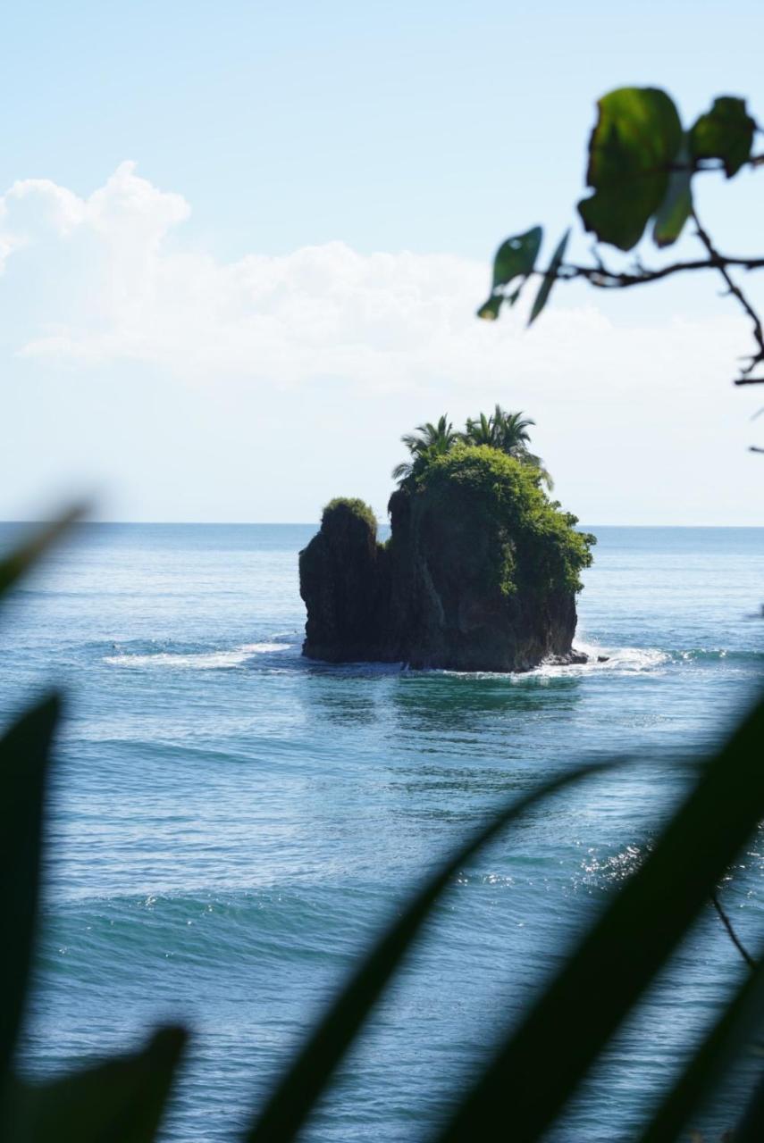 La Ruka Hostel Puerto Viejo de Talamanca 外观 照片